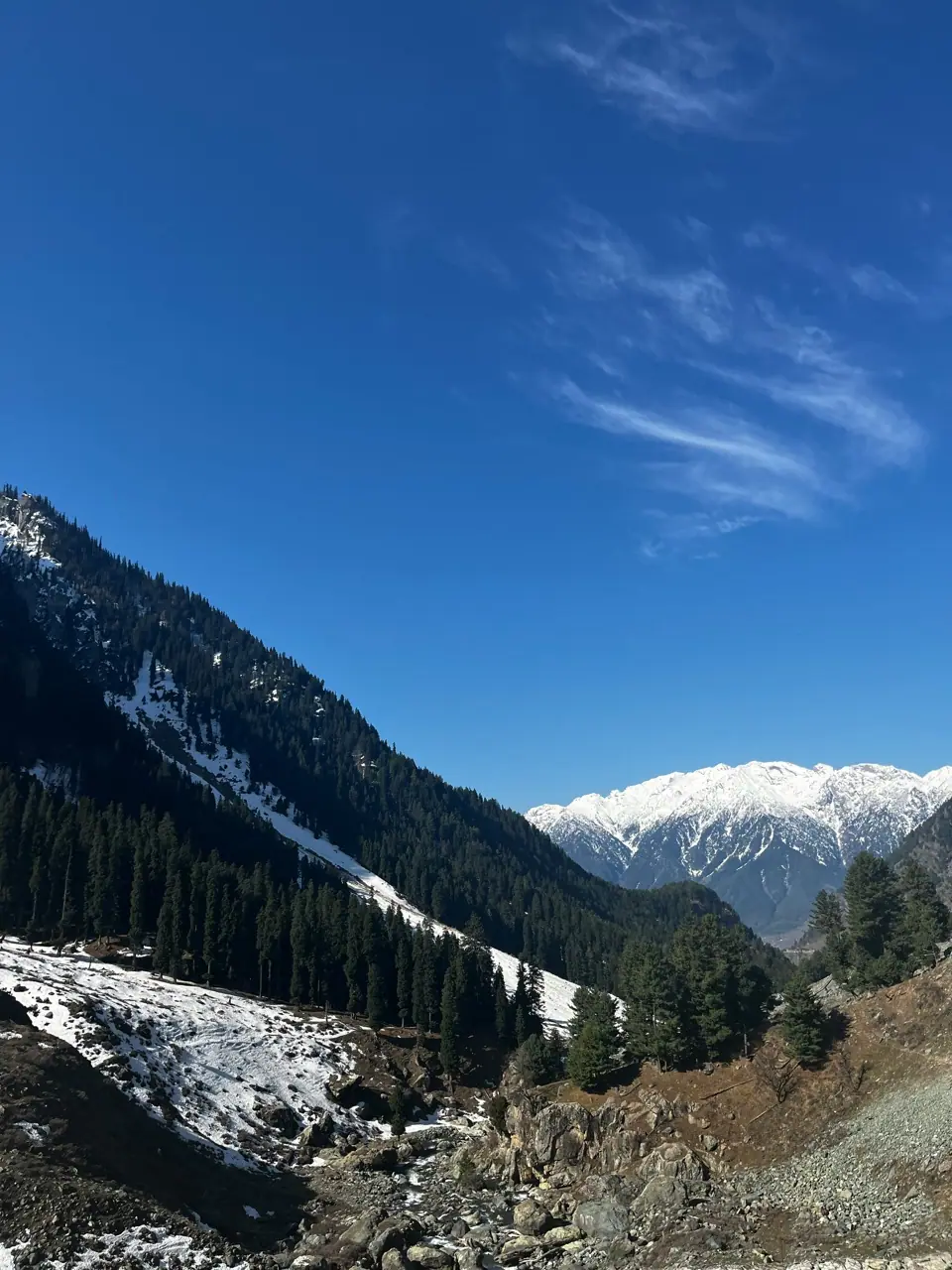 Kashmir