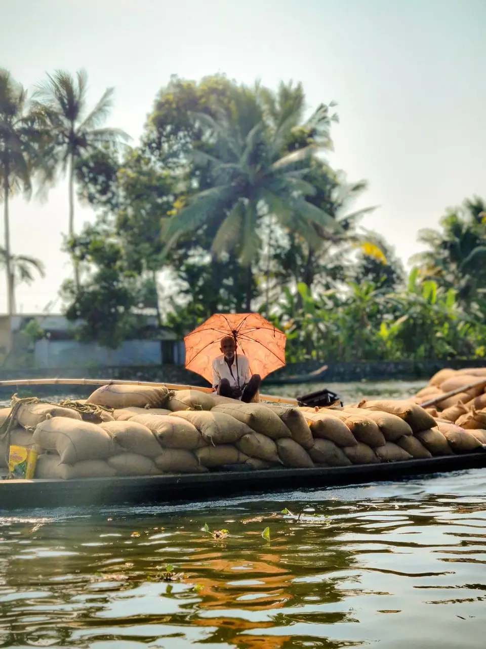 Kerala, photograph 6