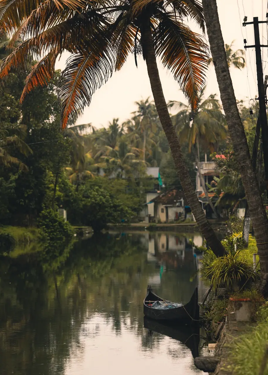 Kerala, photograph 9