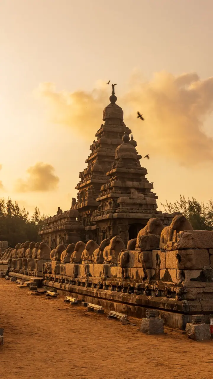 Tamil Nadu, photograph 6